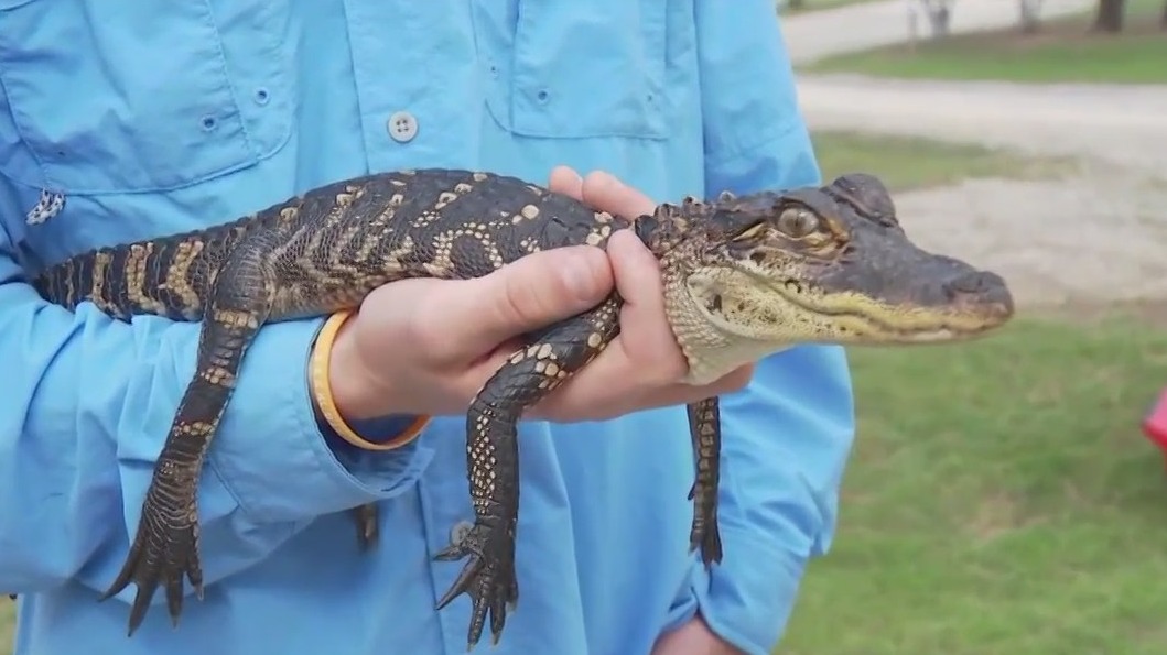 Meet the creatures of McKinney Roughs Nature Park near Bastrop
